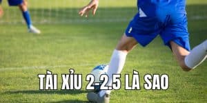 tài xỉu 2-2.5 là sao