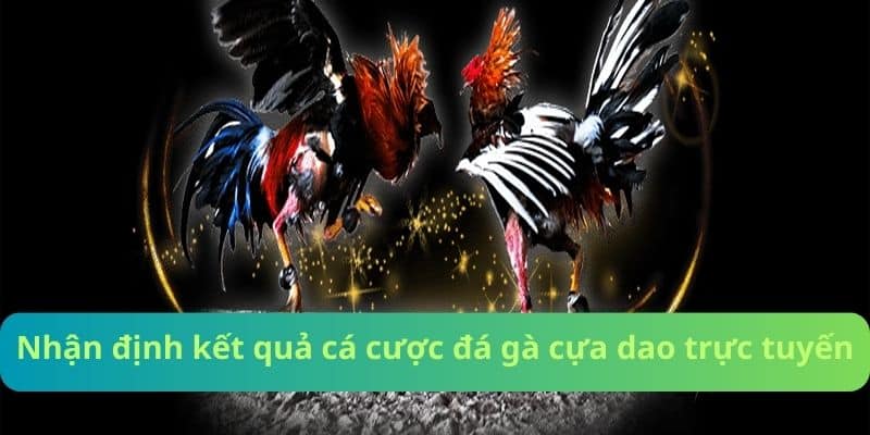 Nhận định kết quả cá cược đá gà cựa dao trực tuyến